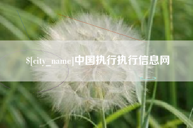 沈阳中国执行执行信息网