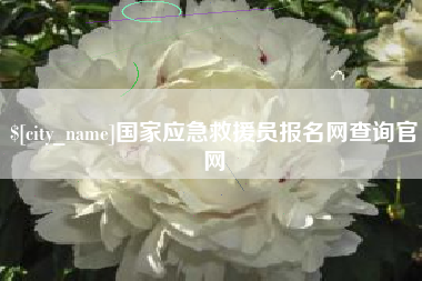 沈阳国家应急救援员报名网查询官网