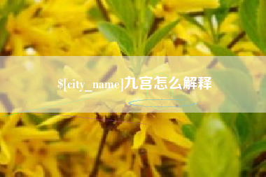 沈阳九宫怎么解释