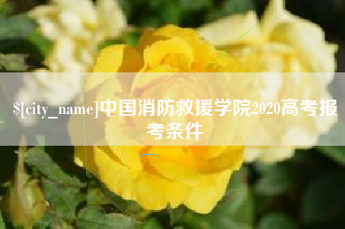 沈阳中国消防救援学院2020高考报考条件
