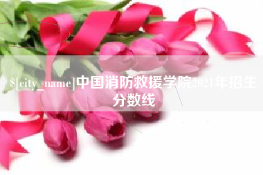 沈阳中国消防救援学院2021年招生分数线