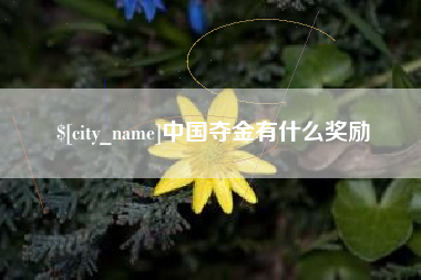 沈阳中国夺金有什么奖励