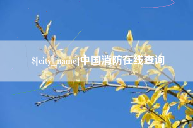 沈阳中国消防在线查询