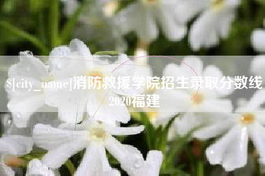 沈阳消防救援学院招生录取分数线2020福建