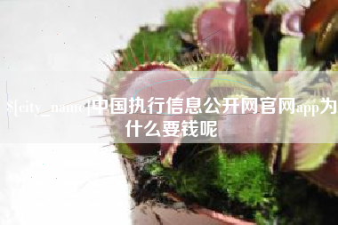 沈阳中国执行信息公开网官网app为什么要钱呢