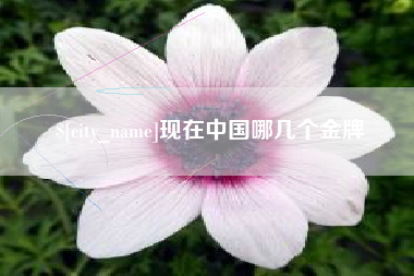 沈阳现在中国哪几个金牌