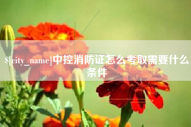 沈阳中控消防证怎么考取需要什么条件