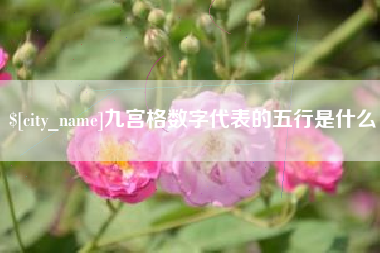 沈阳九宫格数字代表的五行是什么