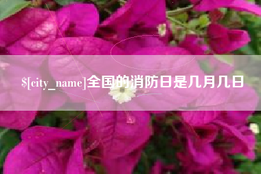 沈阳全国的消防日是几月几日