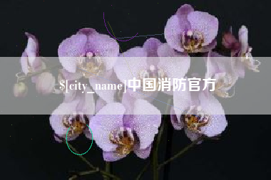 沈阳中国消防官方
