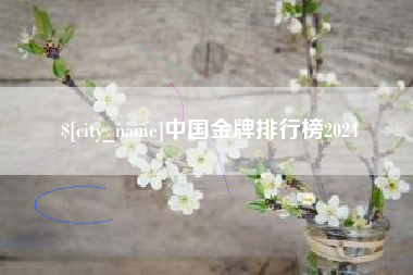 沈阳中国金牌排行榜2024