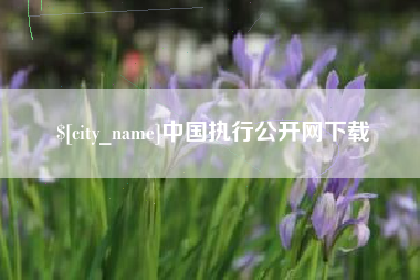 沈阳中国执行公开网下载