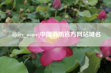 沈阳中国消防官方网站域名