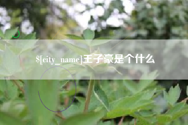 沈阳王子豪是个什么