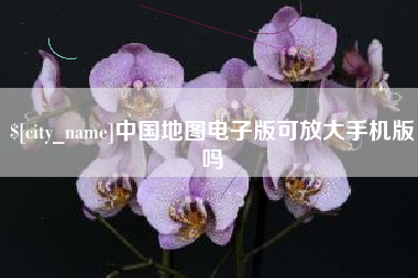 沈阳中国地图电子版可放大手机版吗