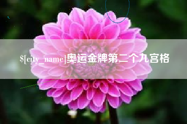 沈阳奥运金牌第二个九宫格