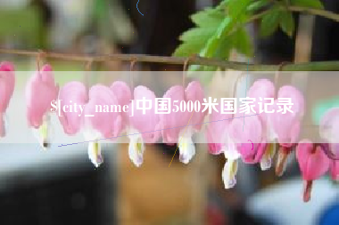 沈阳中国5000米国家记录