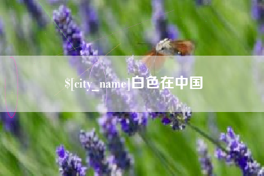 沈阳白色在中国