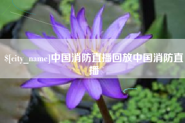 沈阳中国消防直播回放中国消防直播