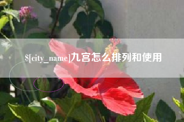 沈阳九宫怎么排列和使用