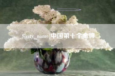 沈阳中国第十个金牌