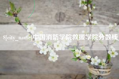 沈阳中国消防学院救援学院分数线