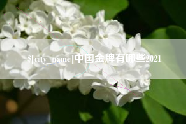 沈阳中国金牌有哪些2021