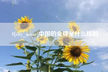 沈阳中国的金牌是什么样的