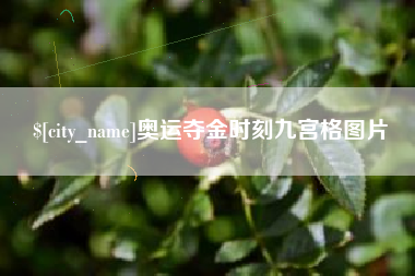 沈阳奥运夺金时刻九宫格图片