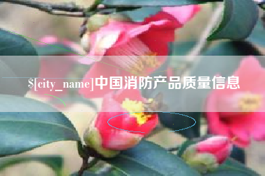 沈阳中国消防产品质量信息