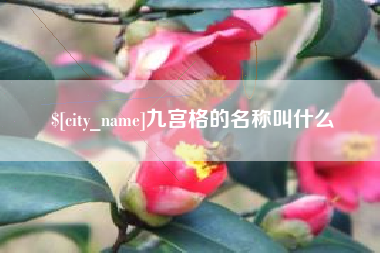 沈阳九宫格的名称叫什么