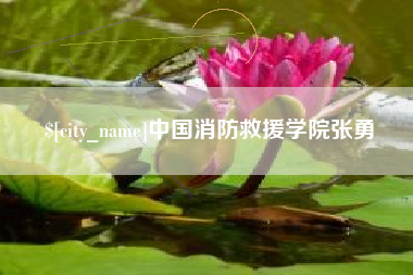 沈阳中国消防救援学院张勇