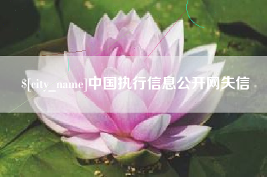 沈阳中国执行信息公开网失信