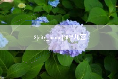 沈阳2022九宫