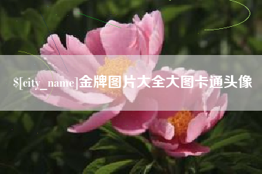 沈阳金牌图片大全大图卡通头像