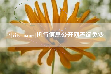 沈阳执行信息公开网查询免费